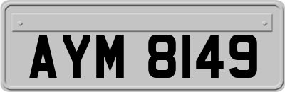 AYM8149