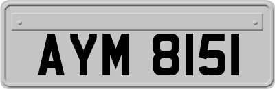 AYM8151