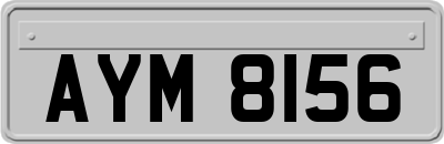 AYM8156