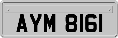 AYM8161