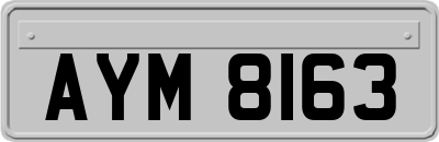 AYM8163