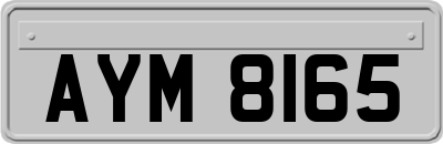 AYM8165