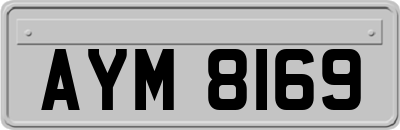 AYM8169