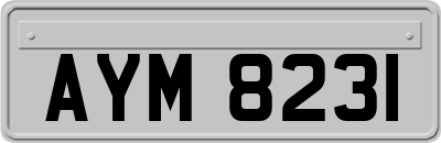 AYM8231