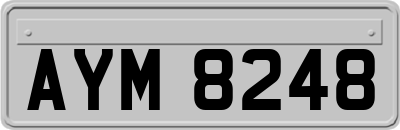 AYM8248