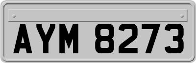 AYM8273
