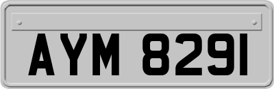 AYM8291