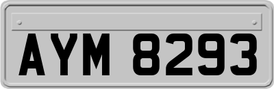 AYM8293