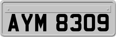 AYM8309
