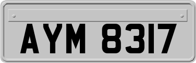 AYM8317
