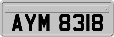 AYM8318