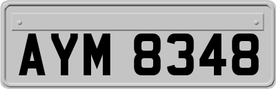 AYM8348