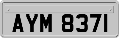 AYM8371