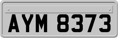 AYM8373