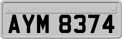AYM8374