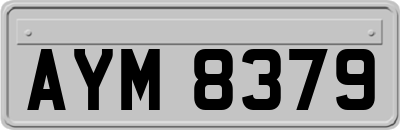 AYM8379