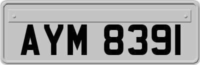 AYM8391