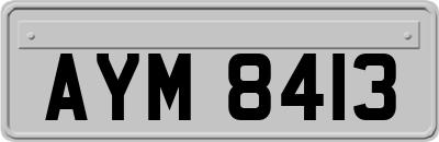 AYM8413