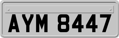 AYM8447