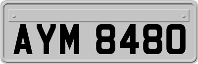 AYM8480