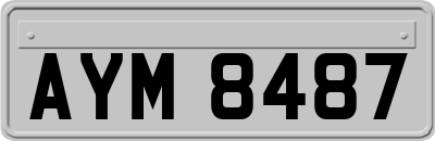 AYM8487