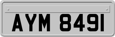 AYM8491