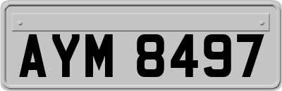 AYM8497