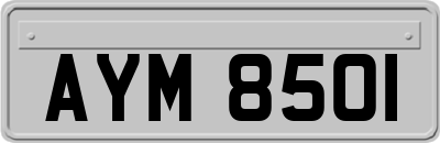 AYM8501