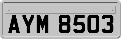 AYM8503