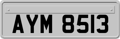 AYM8513