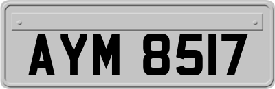 AYM8517