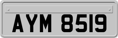 AYM8519