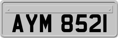 AYM8521