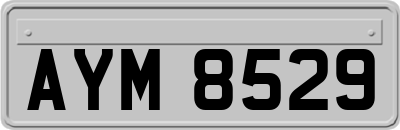 AYM8529
