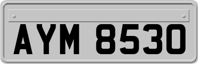 AYM8530