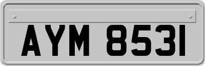 AYM8531