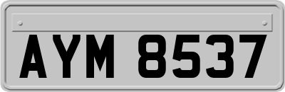 AYM8537