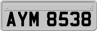 AYM8538