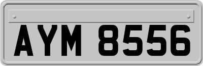 AYM8556