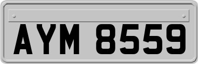 AYM8559
