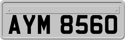 AYM8560
