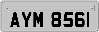 AYM8561