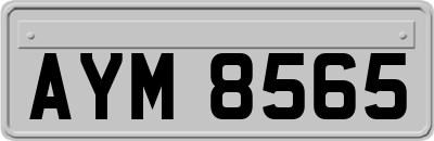 AYM8565