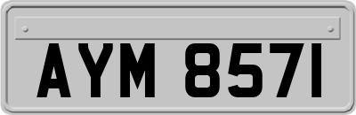 AYM8571