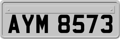 AYM8573
