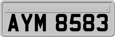 AYM8583