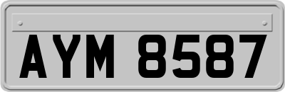 AYM8587