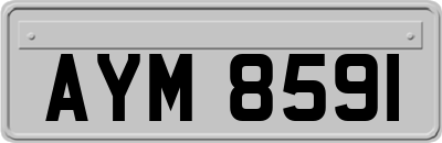AYM8591