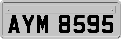 AYM8595