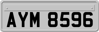 AYM8596